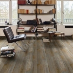 Pure Oak 670D