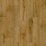 Willow Oak 636M