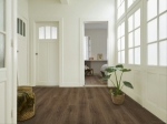 Cumbrian Oak 669D